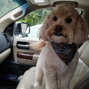 Meet your Posher, Ted